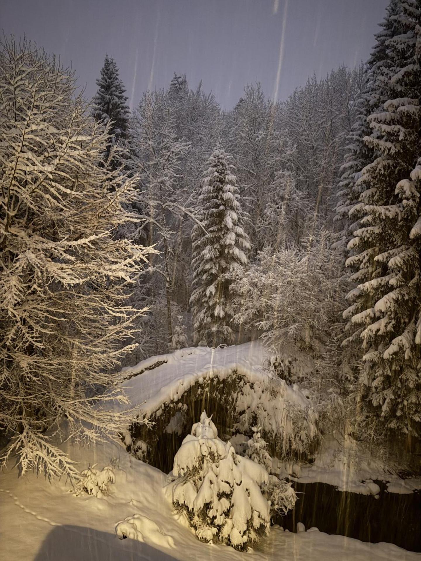 Vila Le Moulin Des Olirics Sallanches Exteriér fotografie