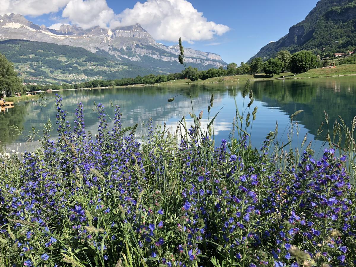 Vila Le Moulin Des Olirics Sallanches Exteriér fotografie