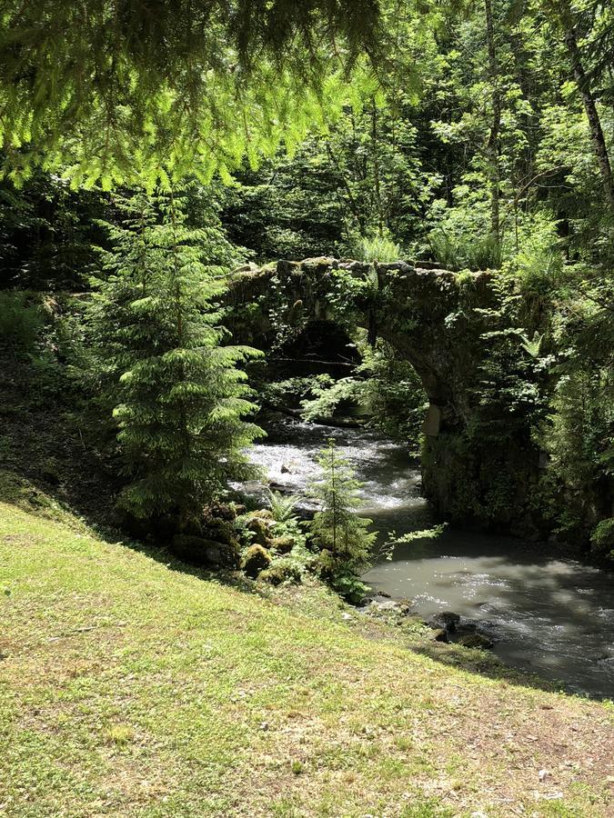 Vila Le Moulin Des Olirics Sallanches Exteriér fotografie