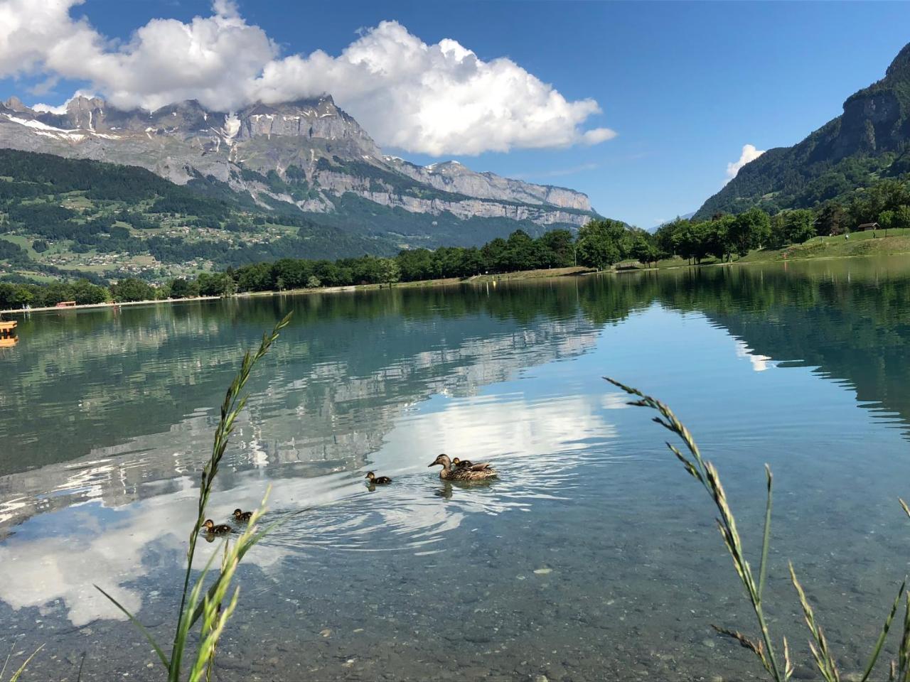 Vila Le Moulin Des Olirics Sallanches Exteriér fotografie